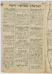 rg28_sanok_2.1_00006