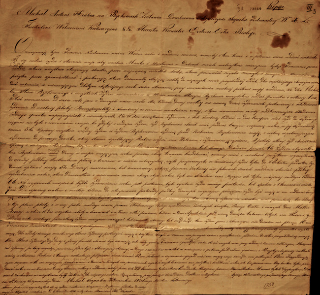 dubnovexhibitiondocument3