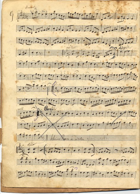 yarg7f331barkochbap6