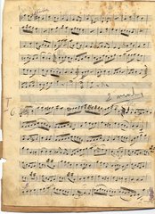 yarg7f331barkochbap4