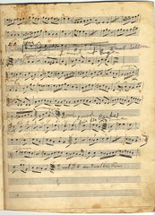 yarg7f331barkochbap7