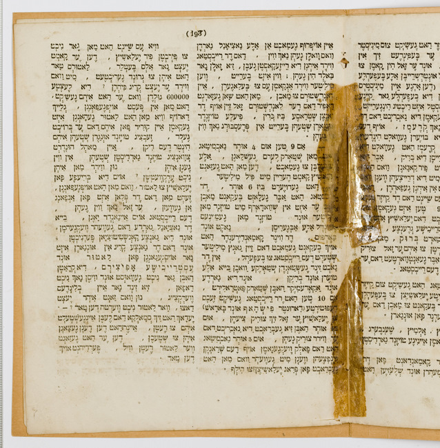 rg116_poland1_9.6.1_00006