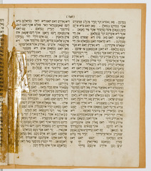 rg116_poland1_9.6.1_00003