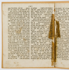 rg116_poland1_9.6.1_00004