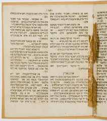 rg116_poland1_9.6.1_00008